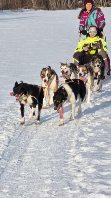 Stengelsen Husky Alta Luaran gambar